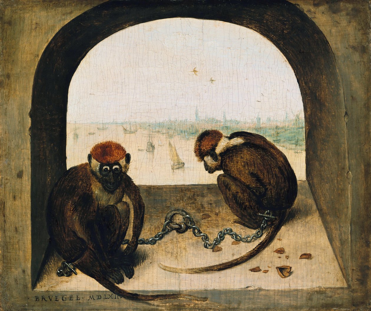 To lænkede aber af Pieter Bruegel the Elder
