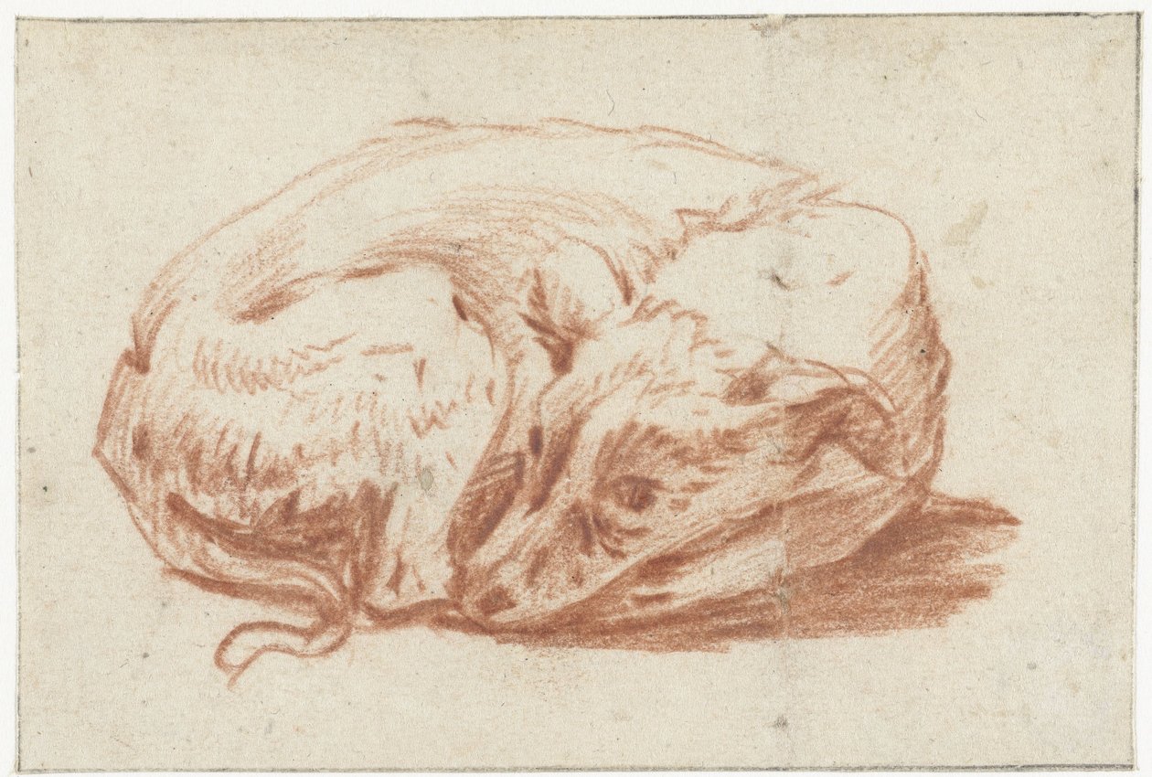 liggende hund af Pieter van Bloemen