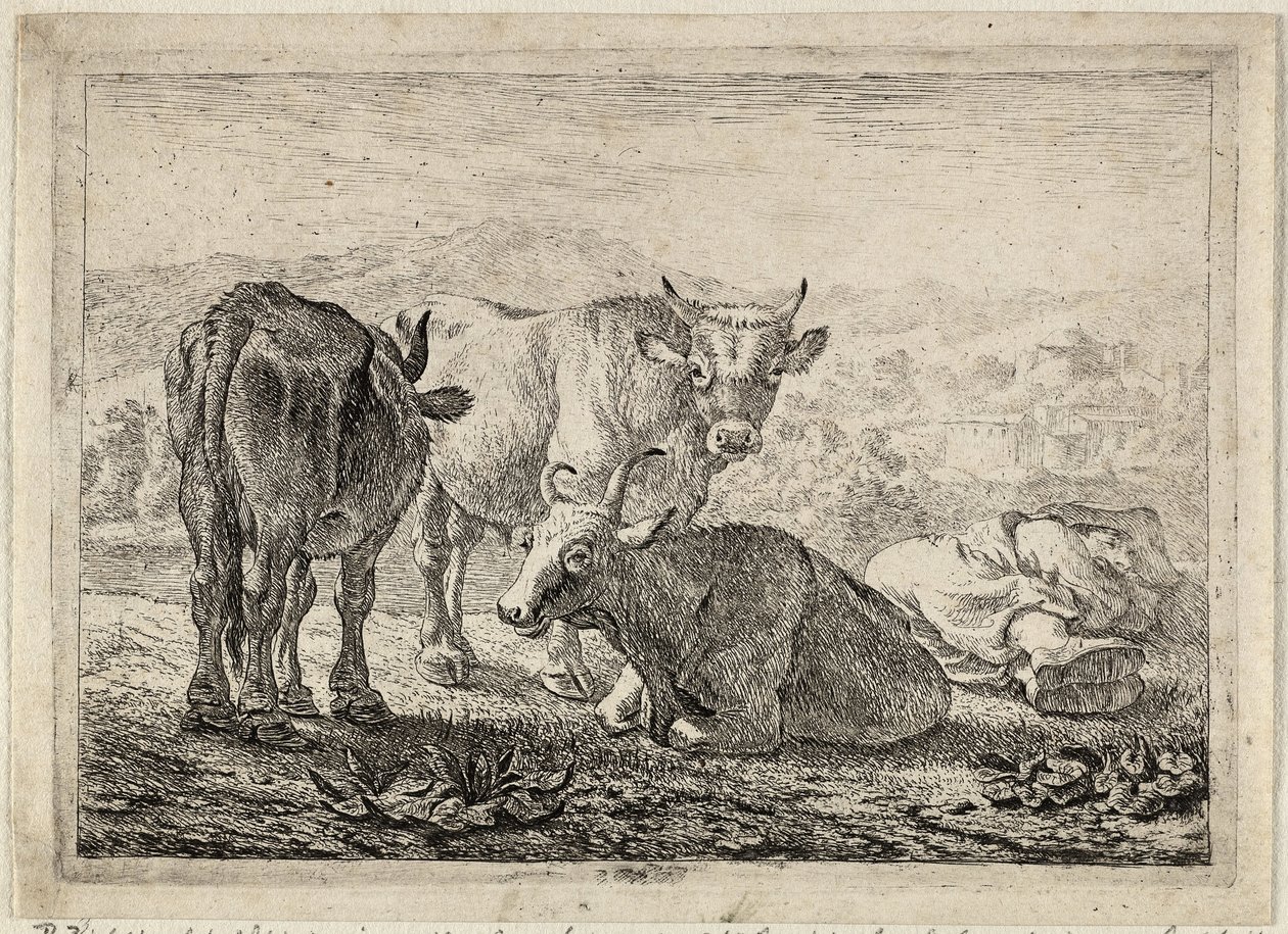 Tysk: Drei Rinder und ein schlafender Hirte
Fransk: Les boeufs
Tre kvæg og en sovende hyrde af Pieter van Laer