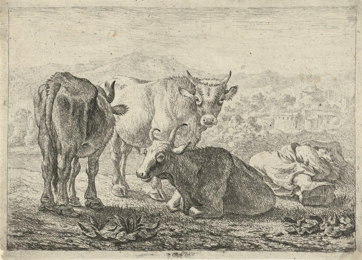Tysk: Drei Rinder und ein schlafender Hirte
Fransk: Les boeufs
Tre kvæg og en sovende hyrde af Pieter van Laer
