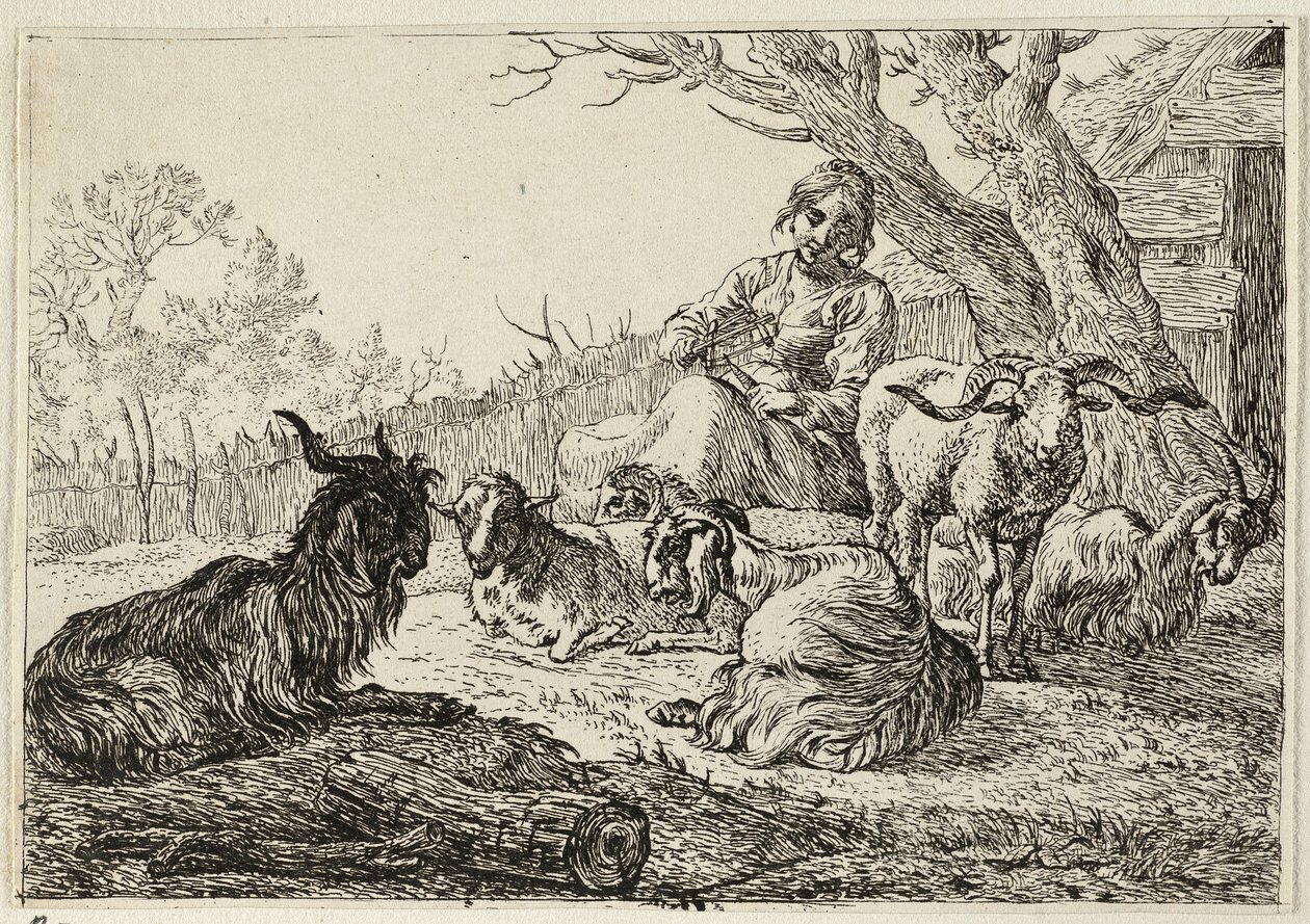 Hyrdinde blandt geder og får af Pieter van Laer