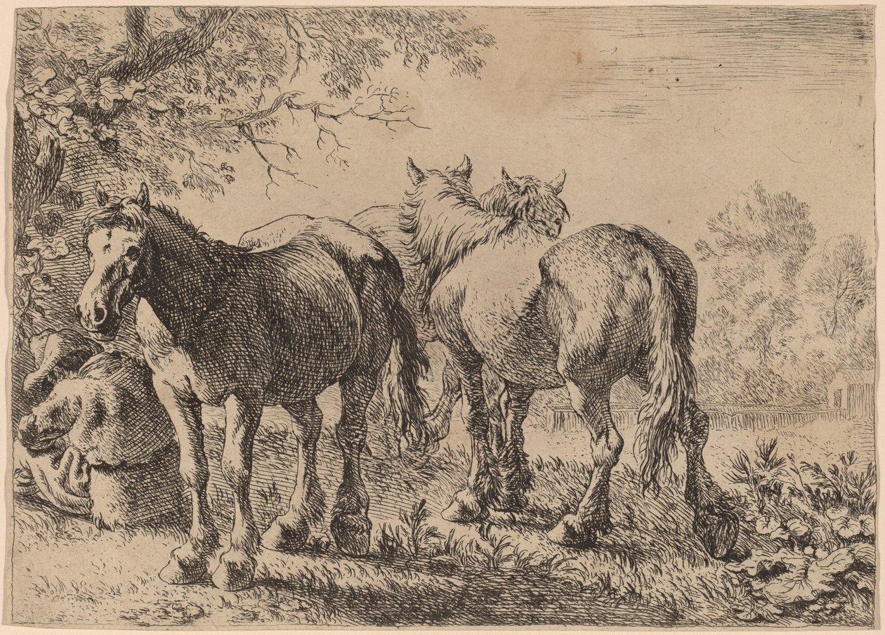 Tre Heste på en Mark af Pieter van Laer