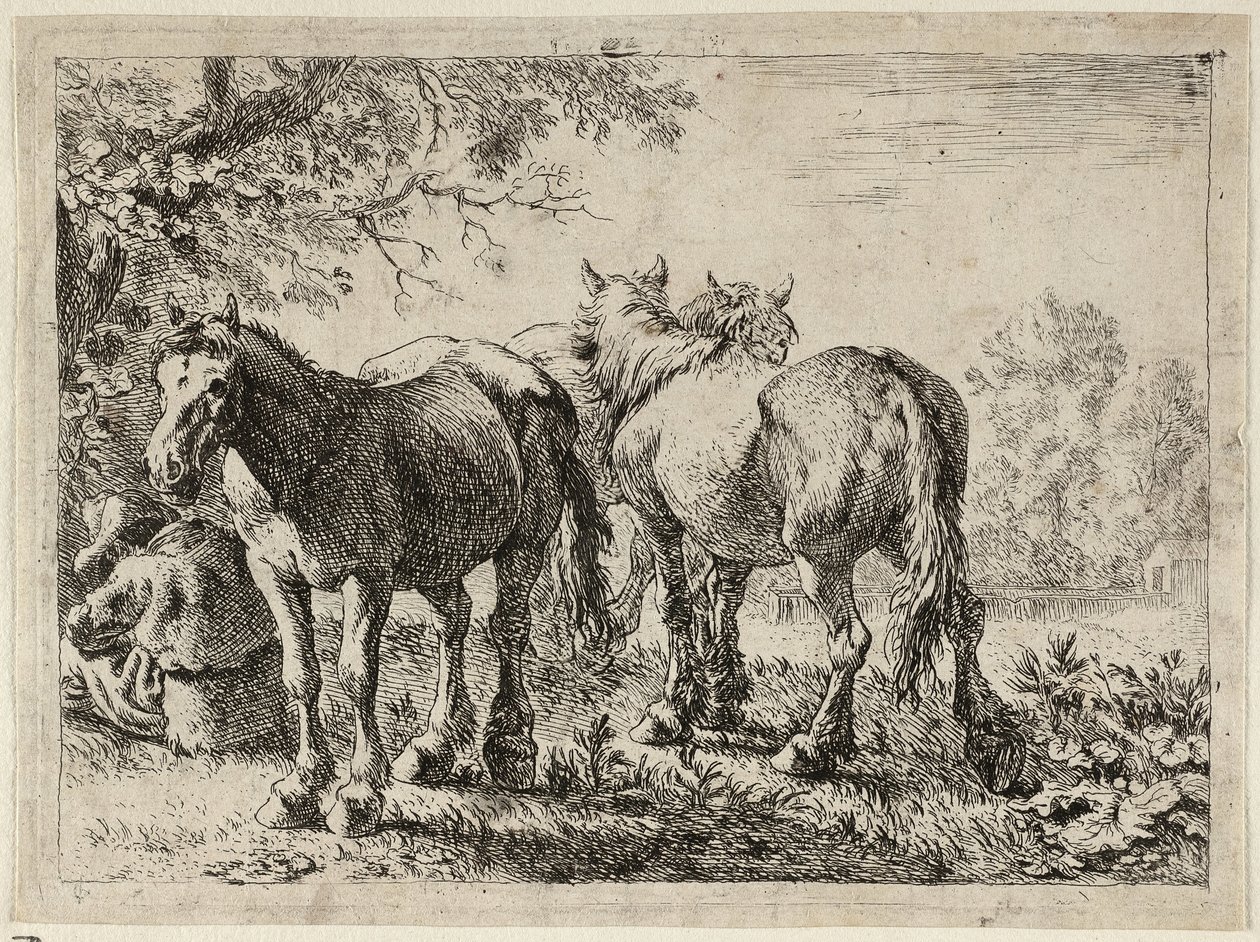 Tre heste på en mark af Pieter van Laer
