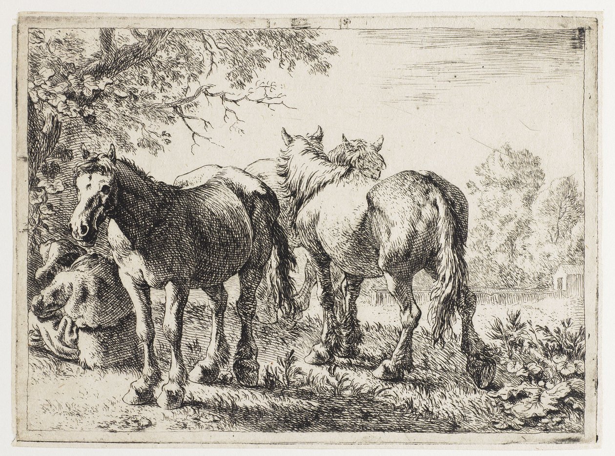 Tre heste på en mark af Pieter van Laer