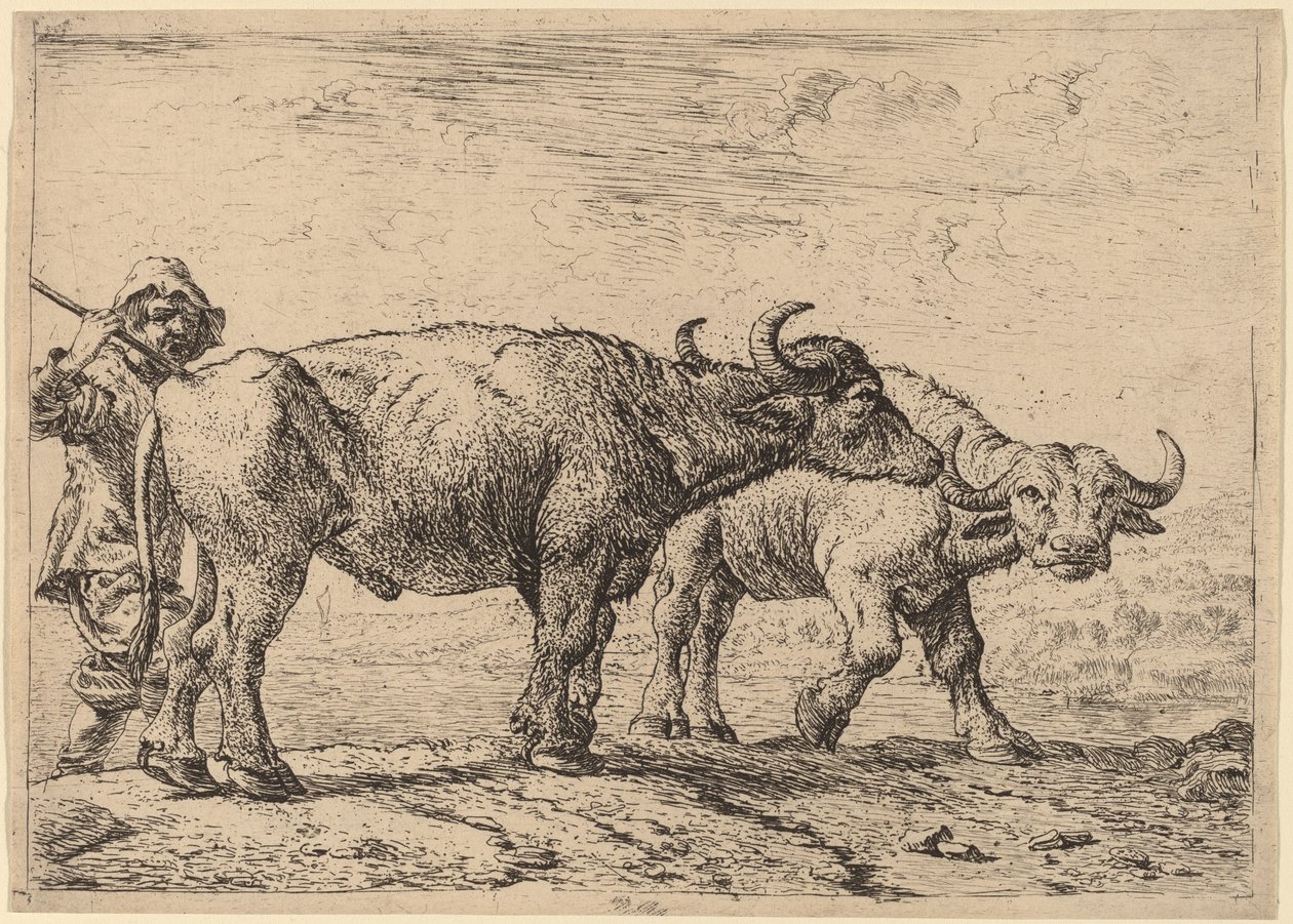 To bøfler og en hyrde af Pieter van Laer