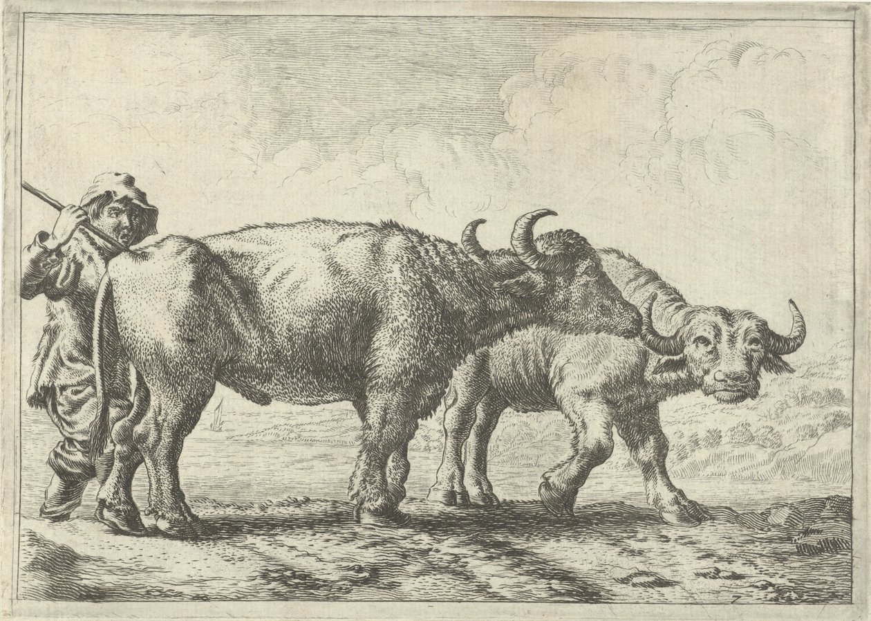 To bøfler og en hyrde af Pieter van Laer