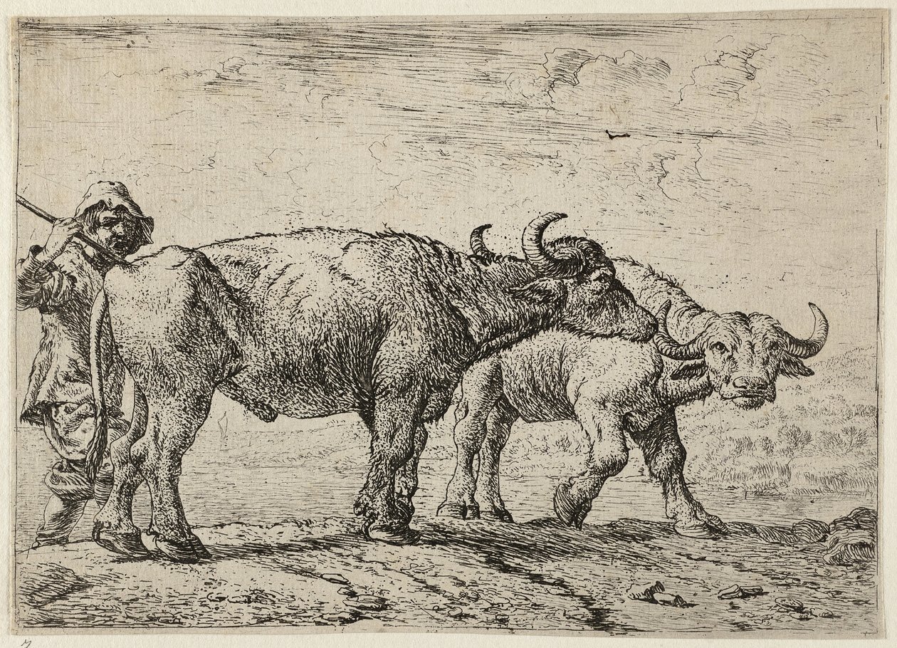 To bøfler og en hyrde af Pieter van Laer