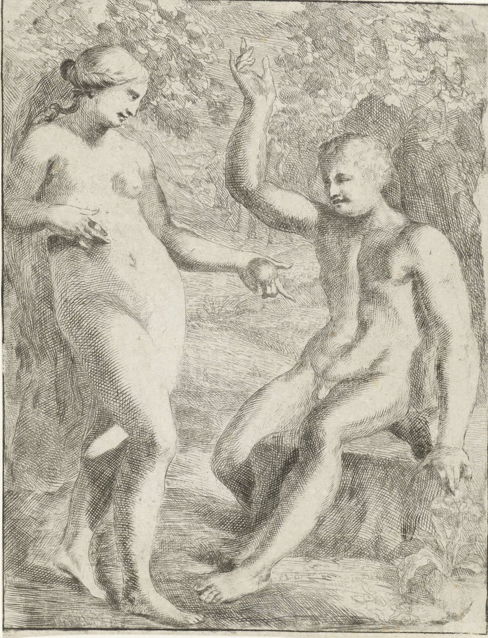Faldet af Pieter van der Plas (II)