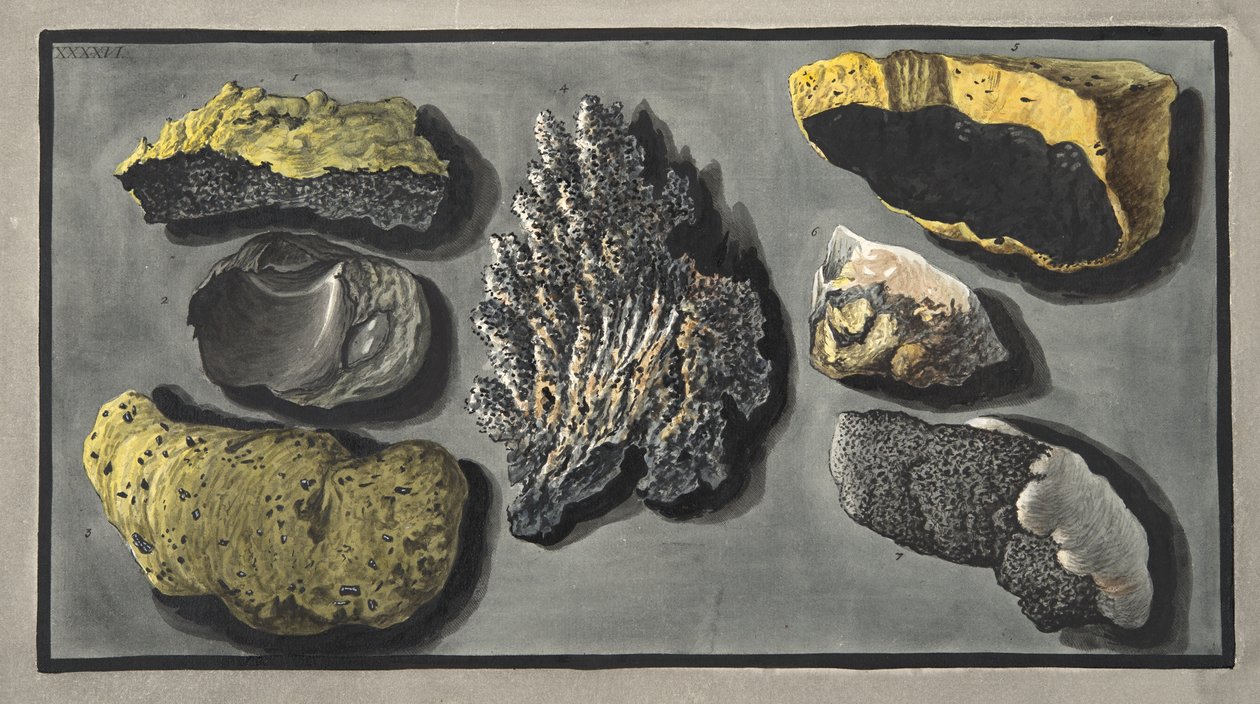 Prøver af vulkansk materiale fundet i Vesuvens krater, plade XXXXVI, fra "Campi Phlegraei": Observations on the Volcanoes of the Two Sicilies", af Sir William Hamilton (1730-1803), udgivet den 17. af Pietro Fabris