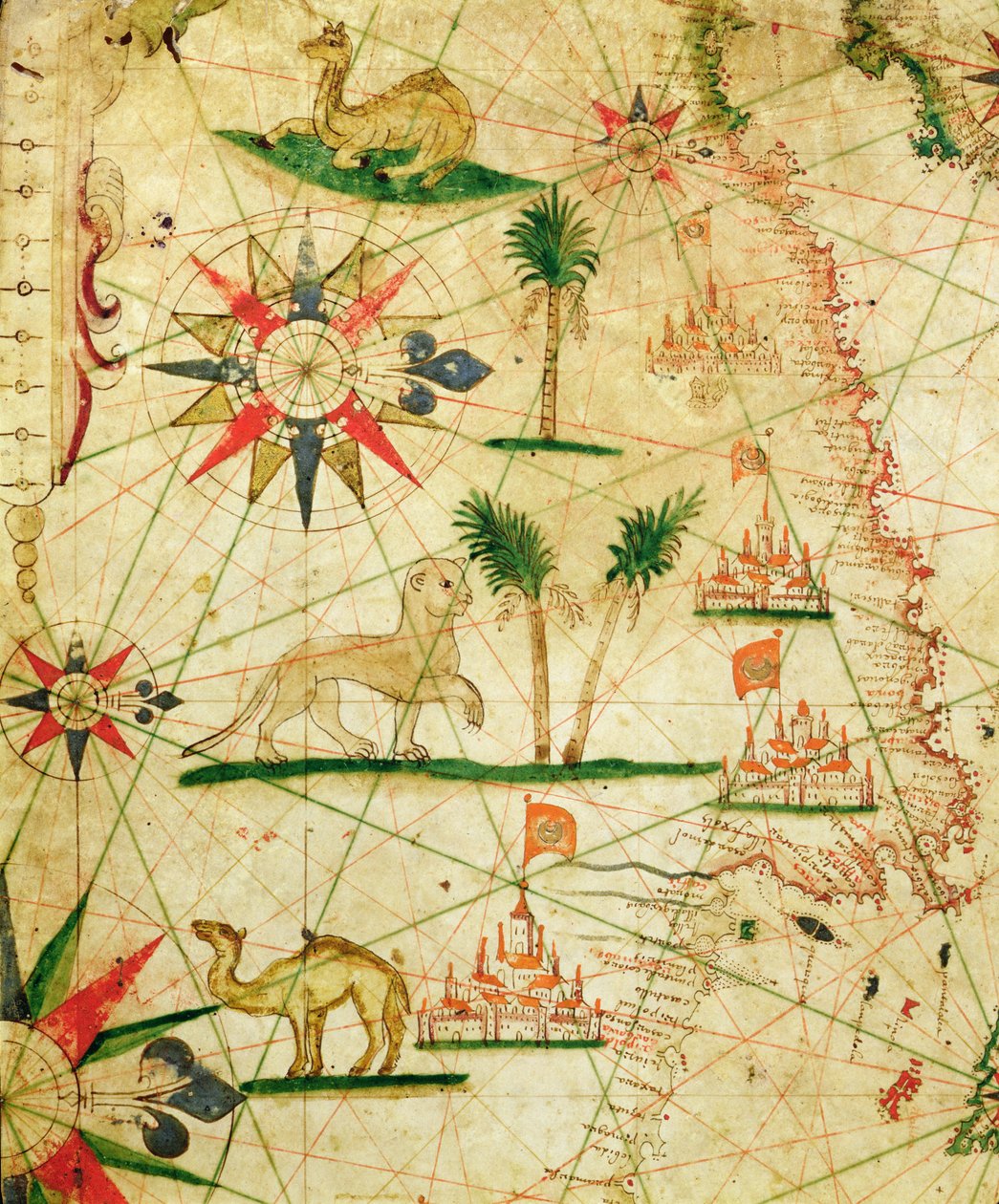 Afrikas nordkyst, fra et nautisk atlas, 1651 (blæk på vellum) (detalje fra 330922) af Pietro Giovanni Prunes