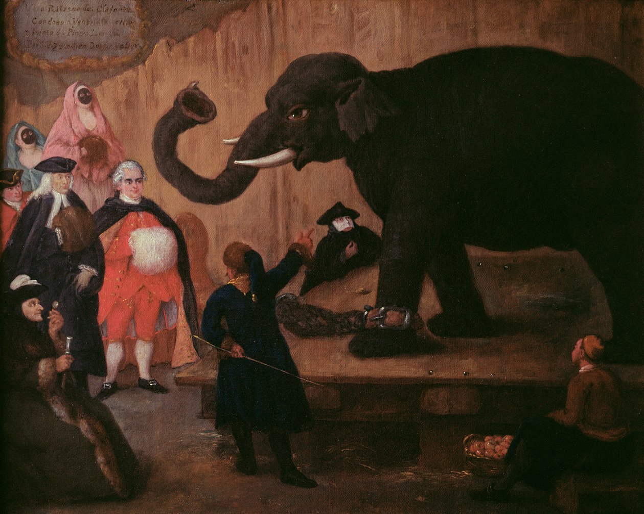 En elefant udstillet i Venedig af Pietro Longhi