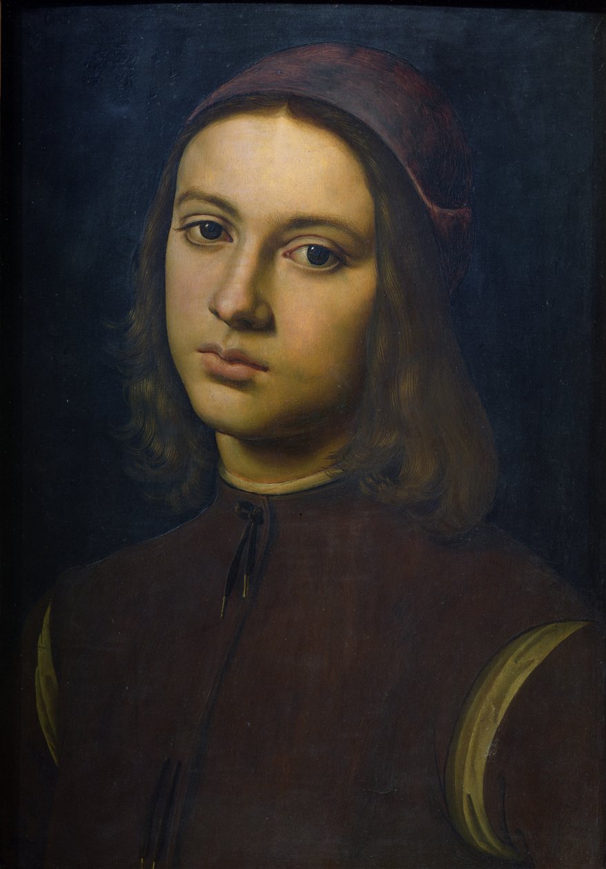 Portræt af en ung mand, 1495 af Pietro Perugino
