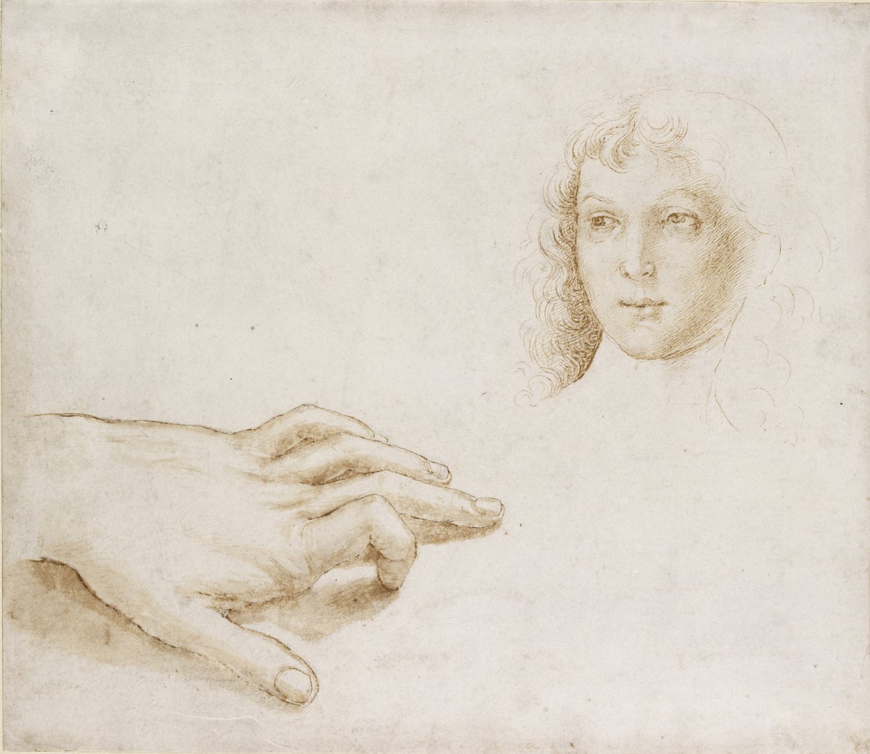Studier af et hoved og en hånd, WA1846.8 af Pietro Perugino