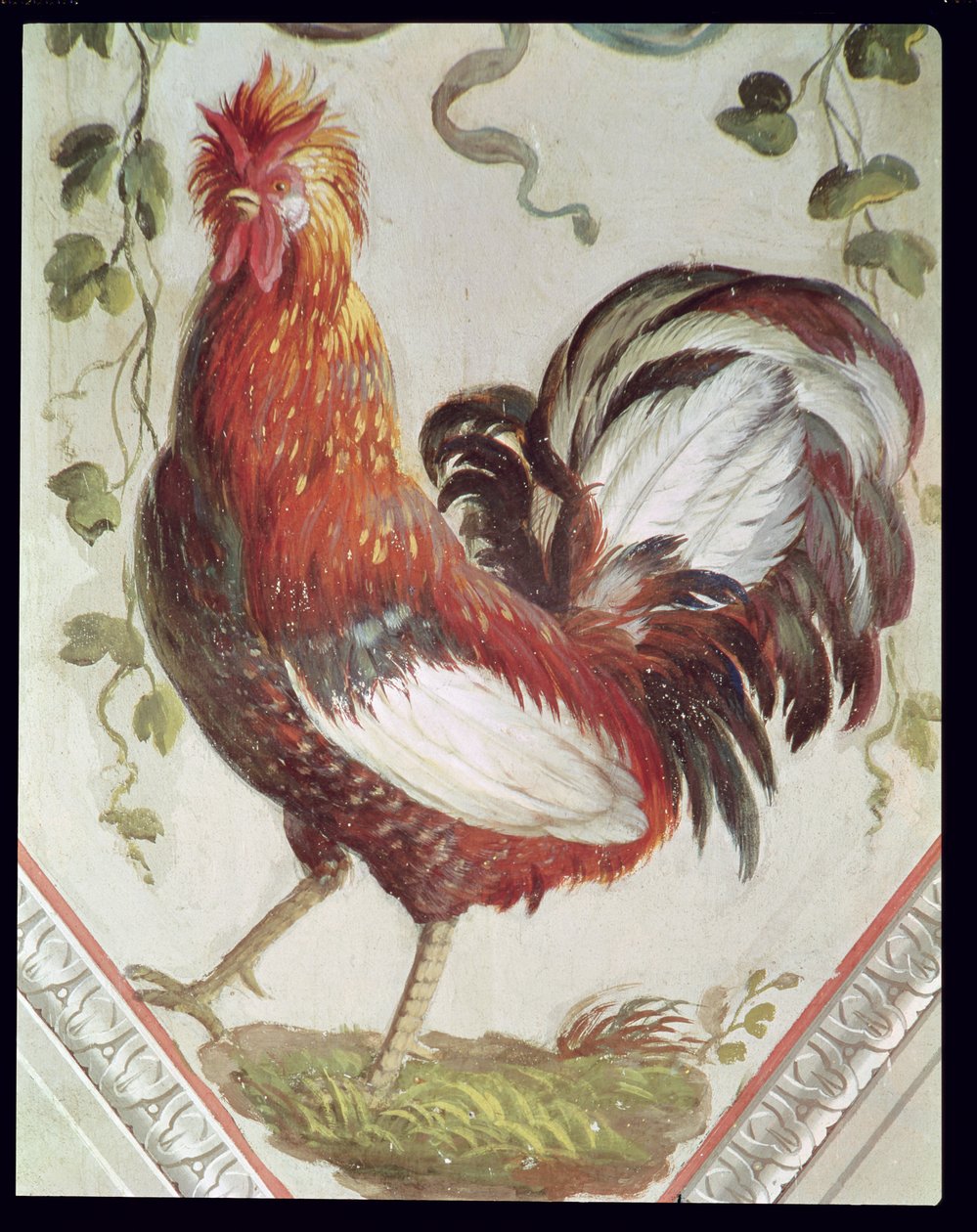 Detalje af en hane, slutningen af det 18. århundrede af Pietro Rotati