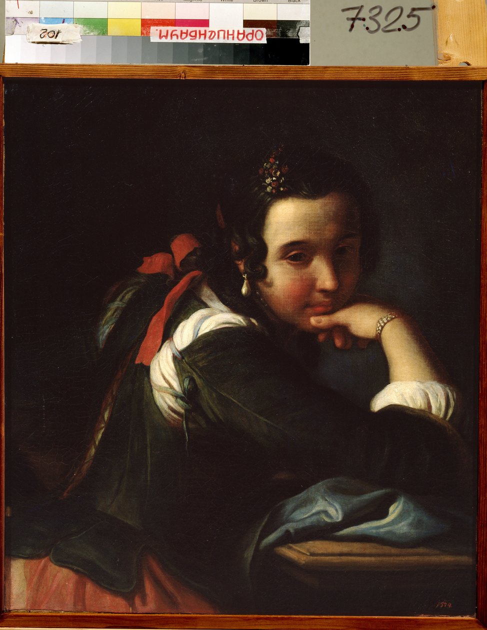 Portrait of an italian actressdani af Pietro Antonio Rotari