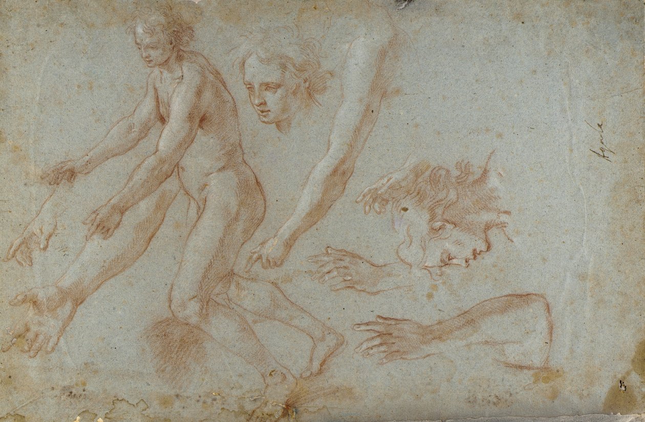 Tegning af Pietro Aquila