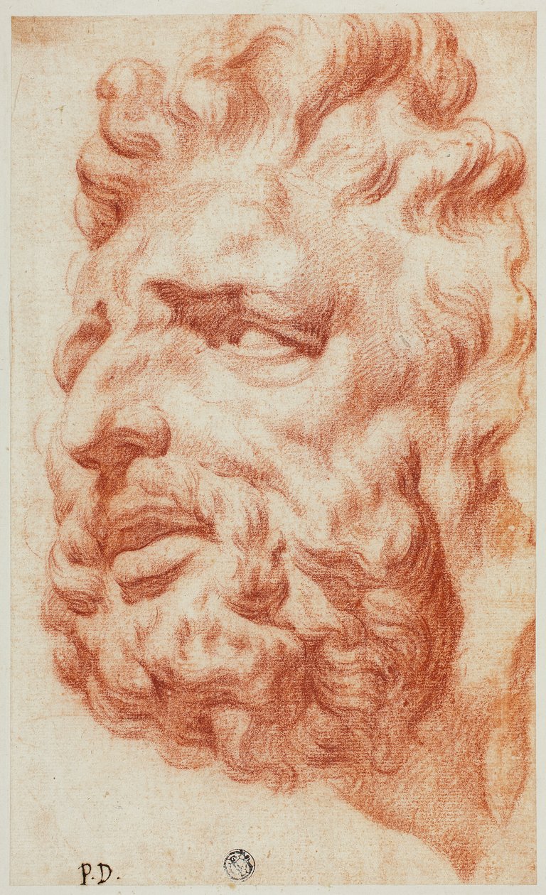 Leder af Laokoon af Pietro Dandini
