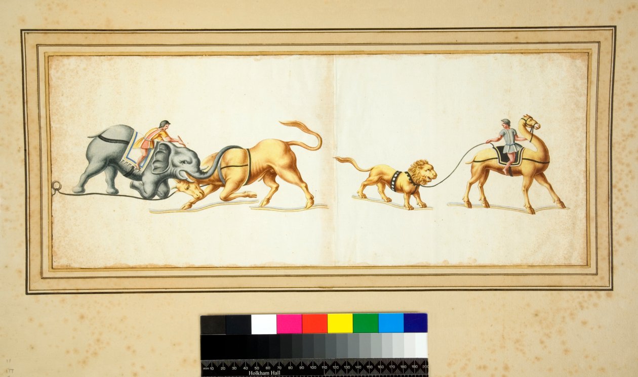 Kopi af en mosaik af en elefant, der kæmper mod en tyr (sort kridt, nogle med pen og brunt blæk. farvet med akvarel) af Pietro Santi Bartoli