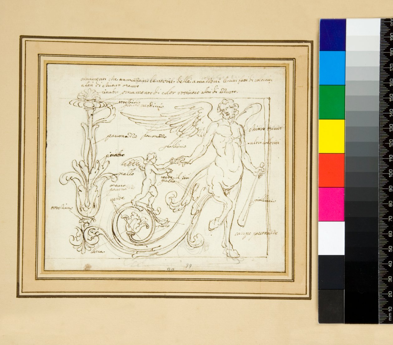 Ornamenter, der deler Amazonernes sejre, en lavet af farver, andre af klart mørke Europa) af Pietro Santi Bartoli