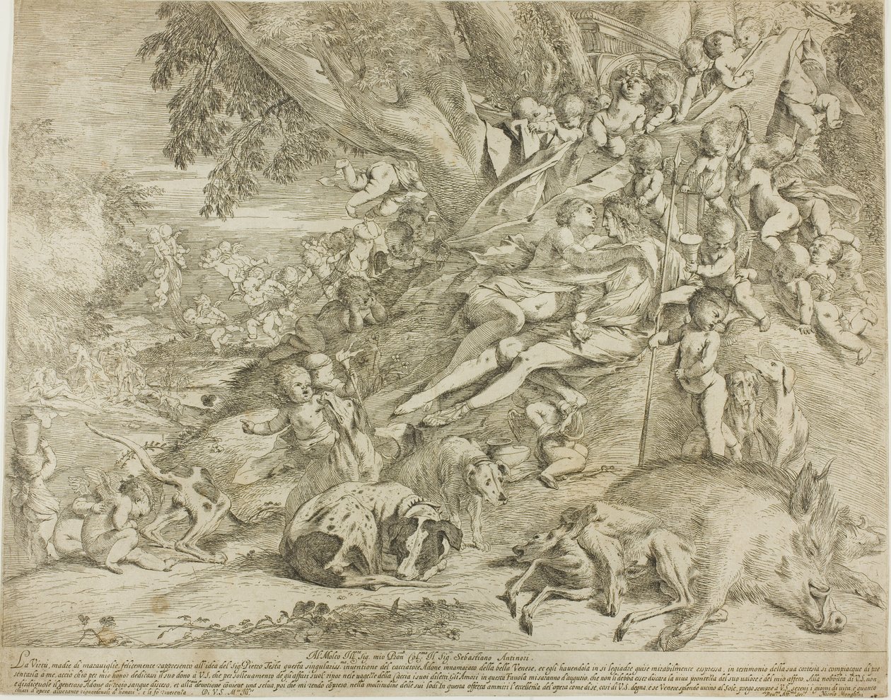 Venus og Adonis af Pietro Testa