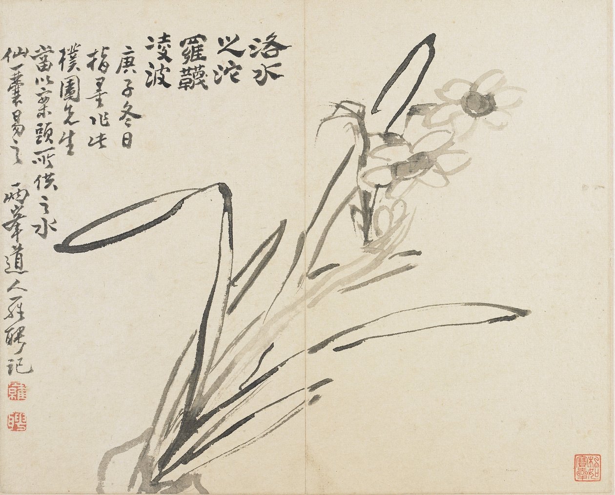 Landskaber, blomster og fugle: Narcissus, Qing-dynastiet af Luo Ping