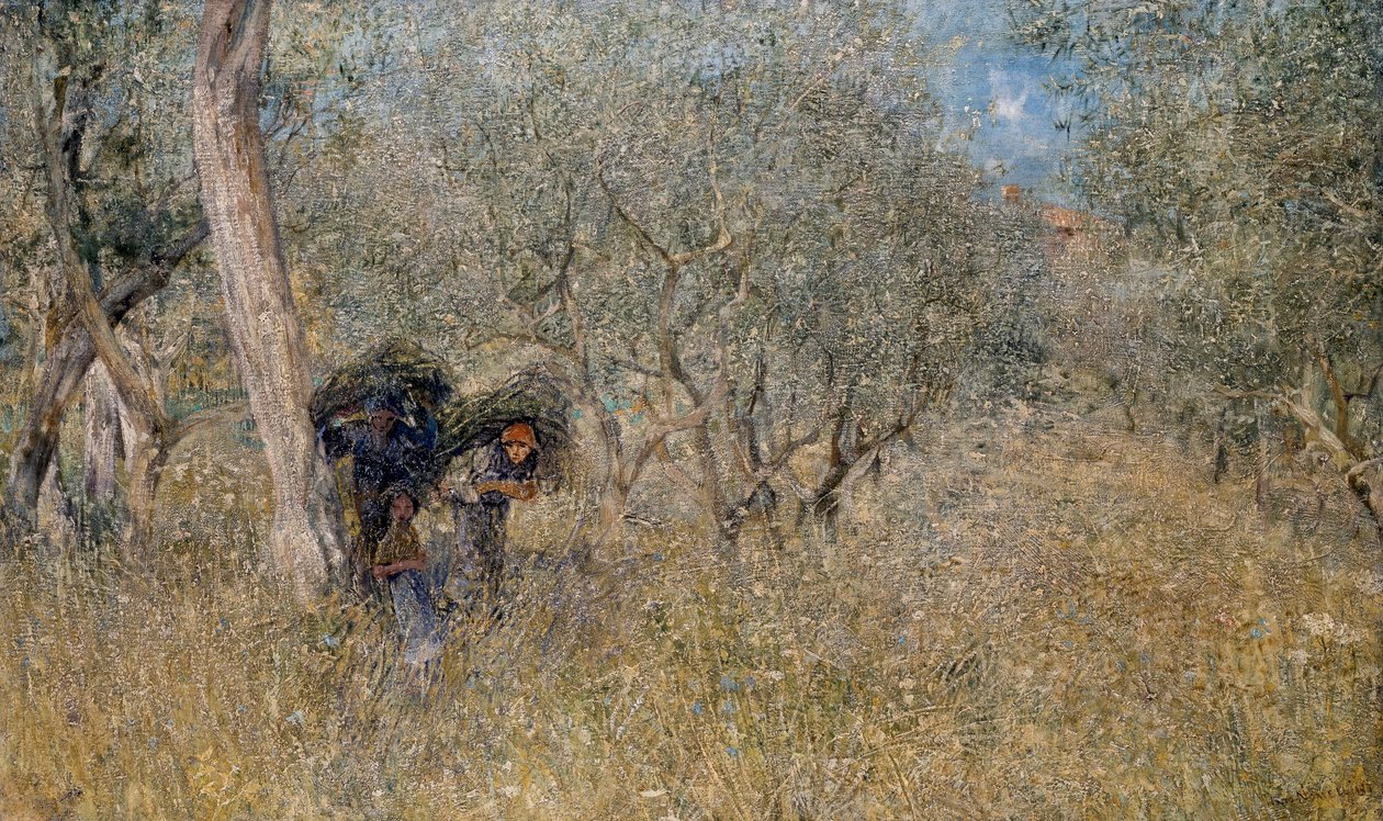 Blandt oliventræer, faskiner, af Plinio Nomellini (1866-1943), olie på lærred, 60x100 cm af Plinio Nomellini