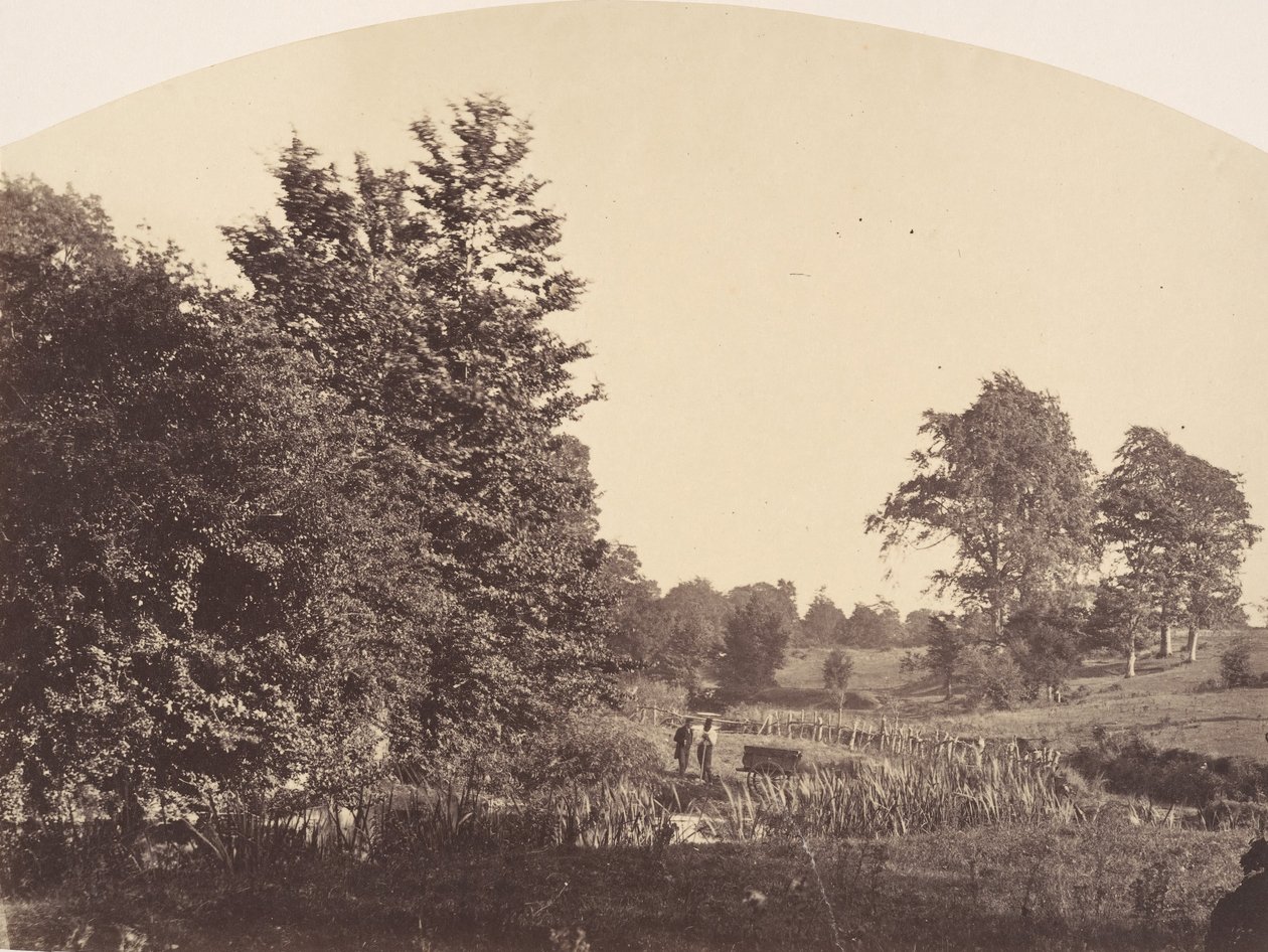 The Woodland Stream, 1856. af Plunket
