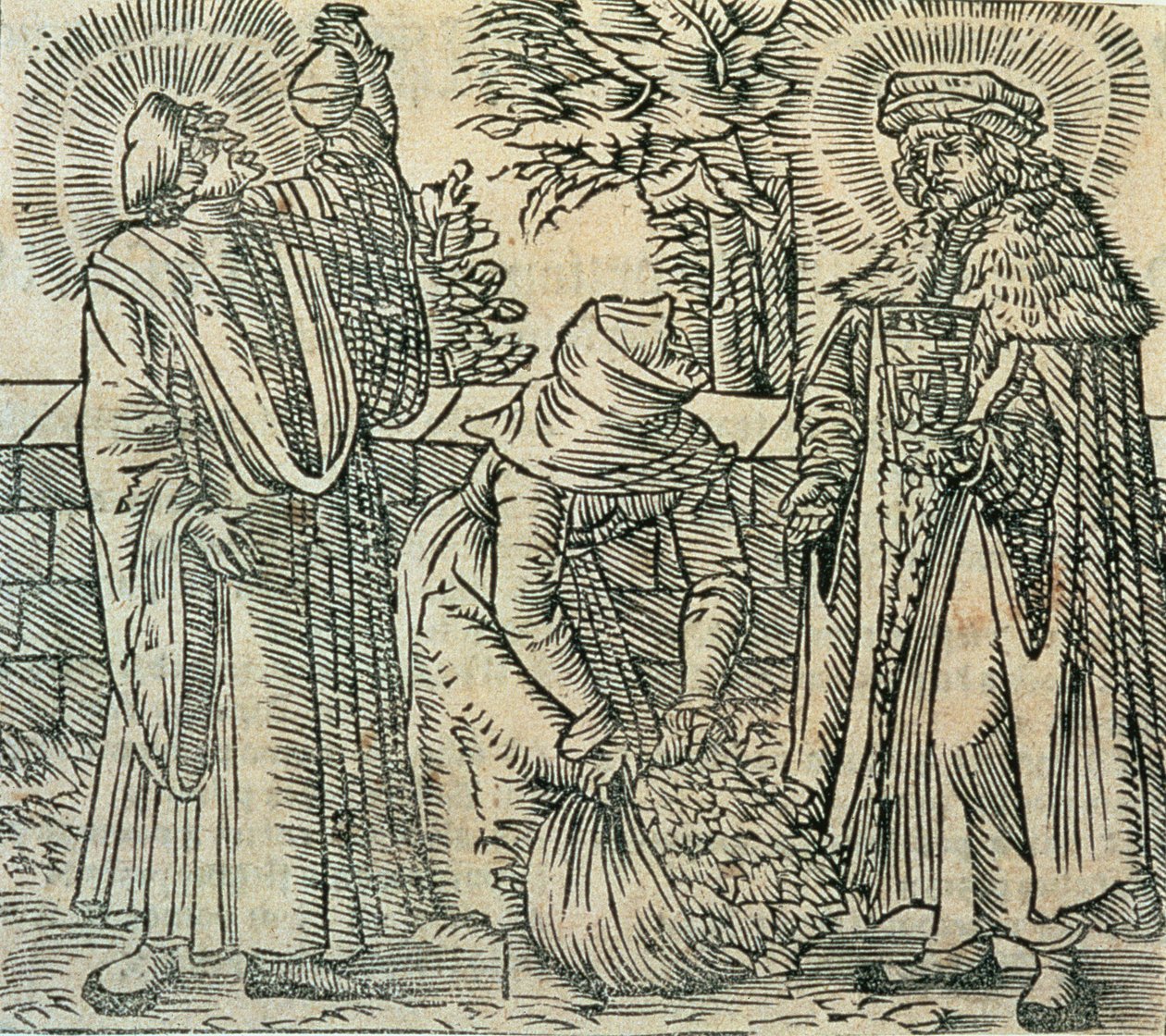 Indsamling af urter til medicin, 1534 af Polish School