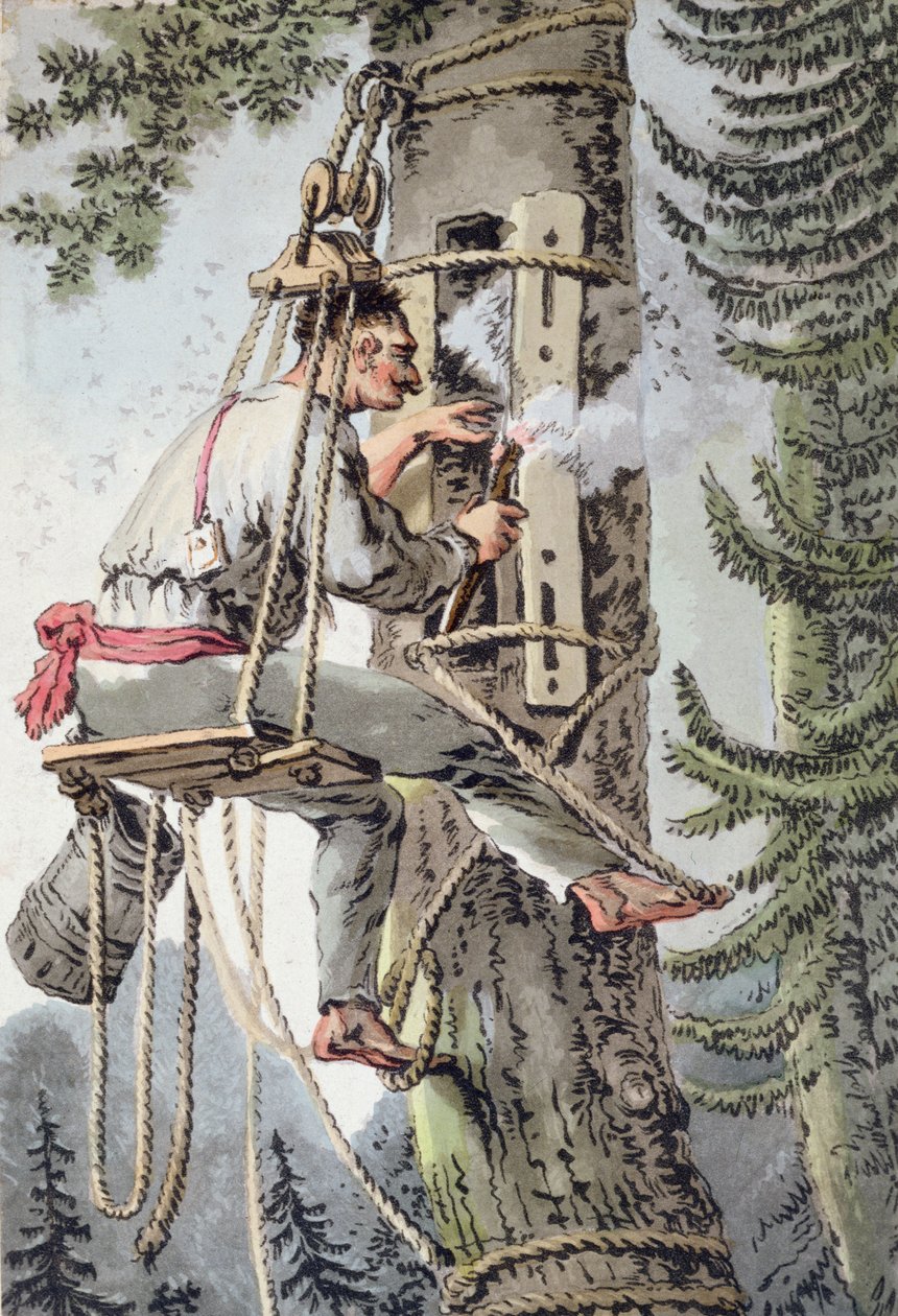 Bonde fra Podlaskie-provinsen i Polen samler honning, tidligt i det 19. århundrede (farve litho) af Polish School