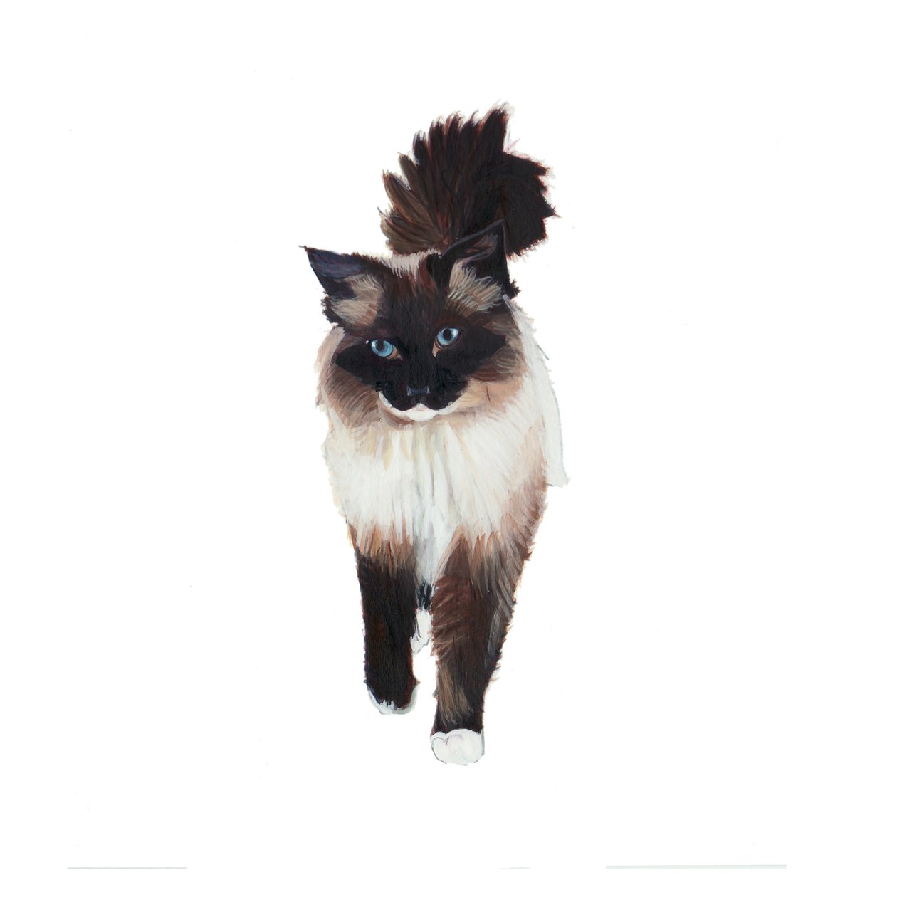Ragdoll, 2014 (akvarel og gouache på papir) af Polly Horner
