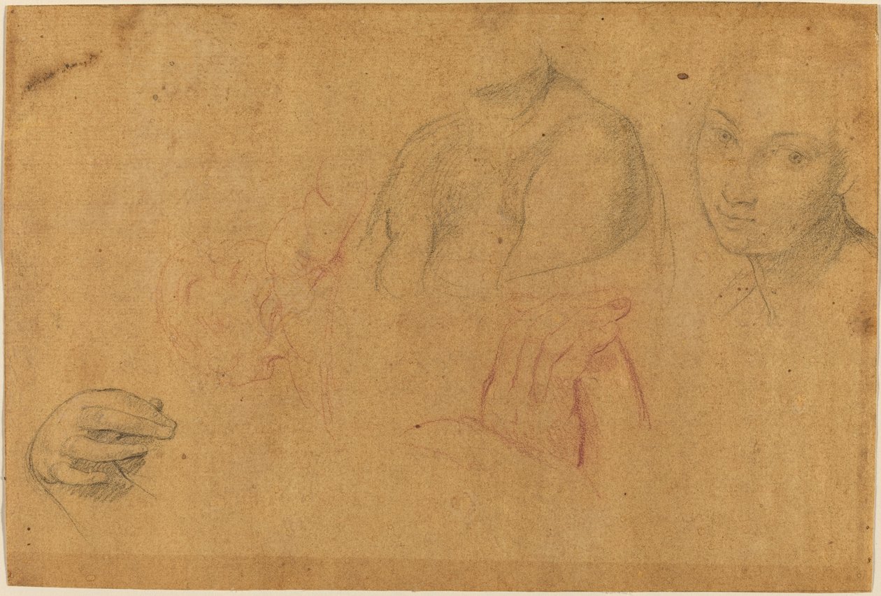 Skitser af hoveder og hænder af Pompeo Batoni