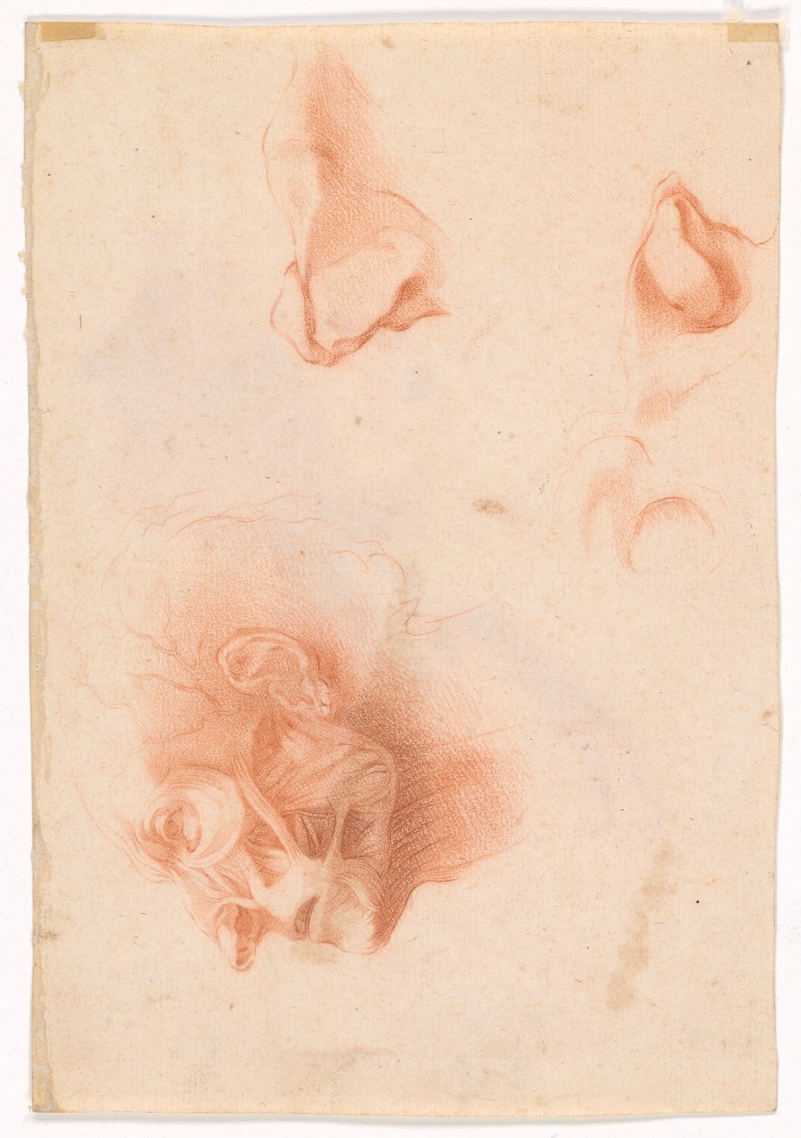 Leder af en mand, ansigt i profil (recto); Anatomisk undersøgelse, ansigt i profil (verso) af Pompeo Girolamo Batoni