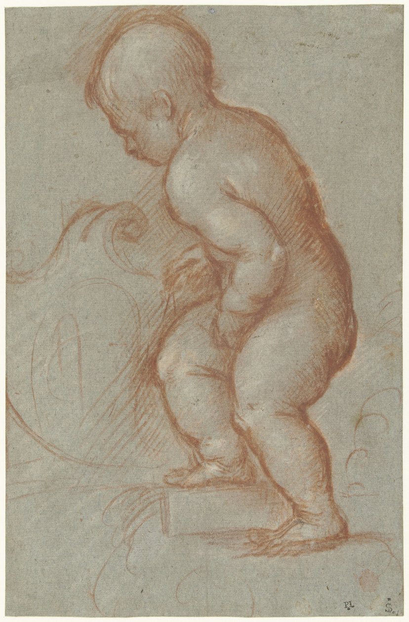 Putto med et våbenskjold af Pordenone (attributed to)