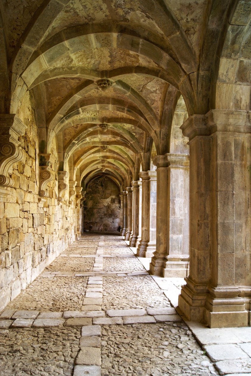 Udsigt over klostrene, klosteret Santa Maria de Salzedas, Tarouca, Portugal (sten) af Portuguese School