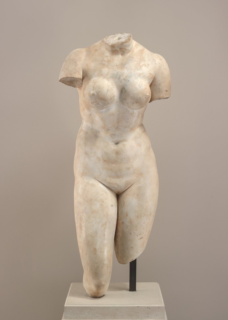Torso af Afrodite af Possibly Hellenistic or Roman