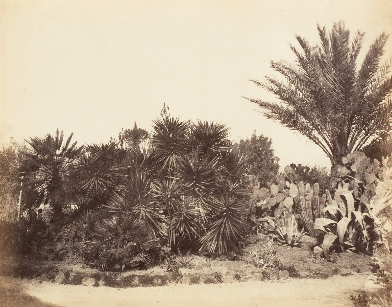 Pincian Garden, Rom, 1853-56. af Possibly by Jane Martha St. John.