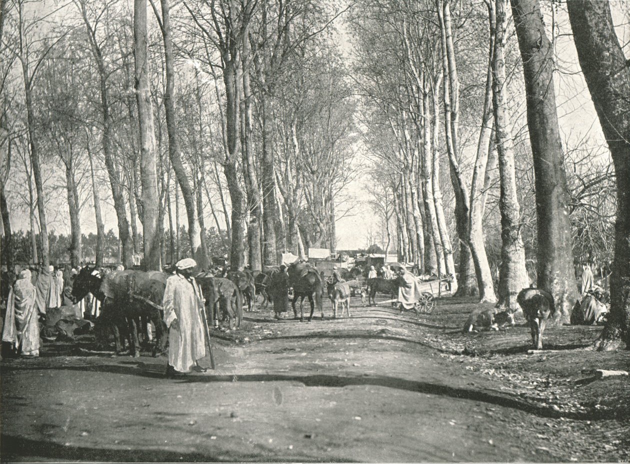 Arabisk messe og marked, Boufarik, Algeriet, 1895. af Poulton and Co