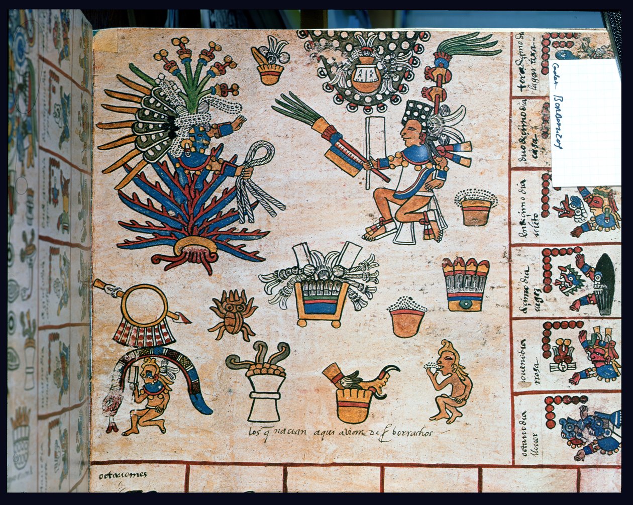 Aztekisk Codex Borbonicus, "Tonalamatl", detalje med gudinden Mayahuel siddende på en agaveplante af Pre Columbian