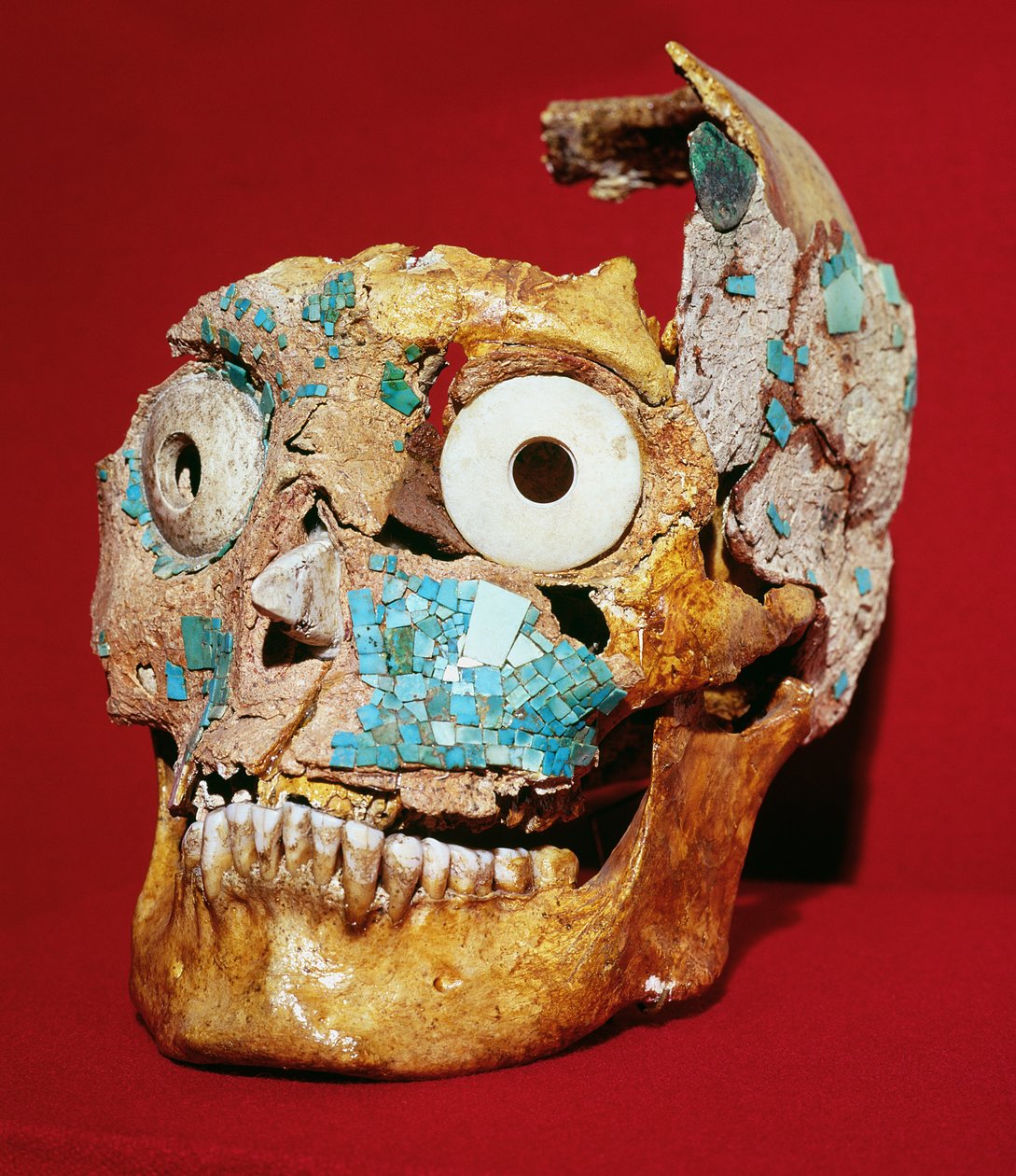 Kranie dekoreret med en mosaik i turkis og elfenben, Mixtec, fra Tomb 7, Monte Alban, 1300-1450 af Pre Columbian