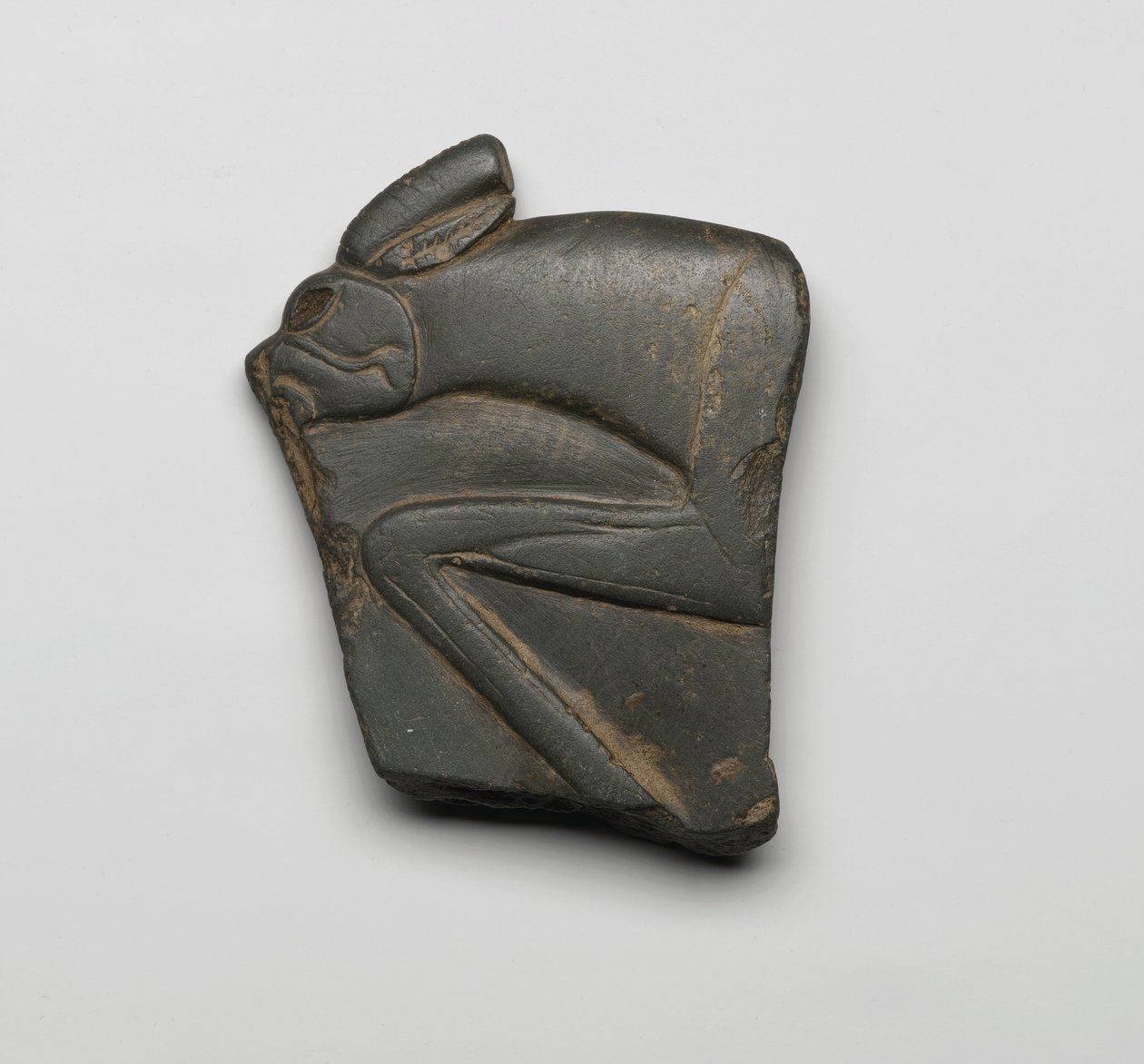 Fragment fra en palet, Øvre Egypten, ca. 3300-3100 f.Kr. (skifer) af Predynastic Period Egyptian
