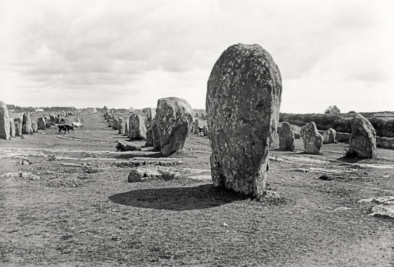 Opstilling af stående sten, megalitisk, 4.-3. årtusinde f.Kr. af Prehistoric