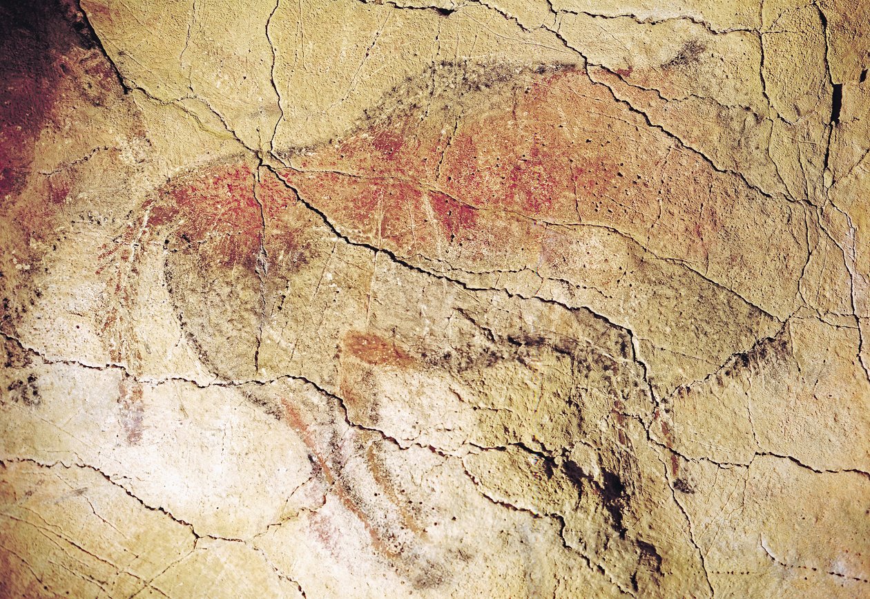 Bison fra hulerne i Altamira, ca. 15000 f.Kr. (hulemaleri) af Prehistoric