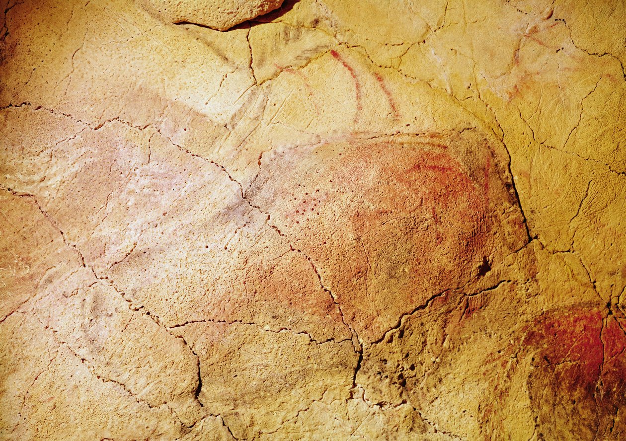 Bison, fra hulerne ved Altamira, ca. 15000 f.Kr. (hulemaleri) af Prehistoric