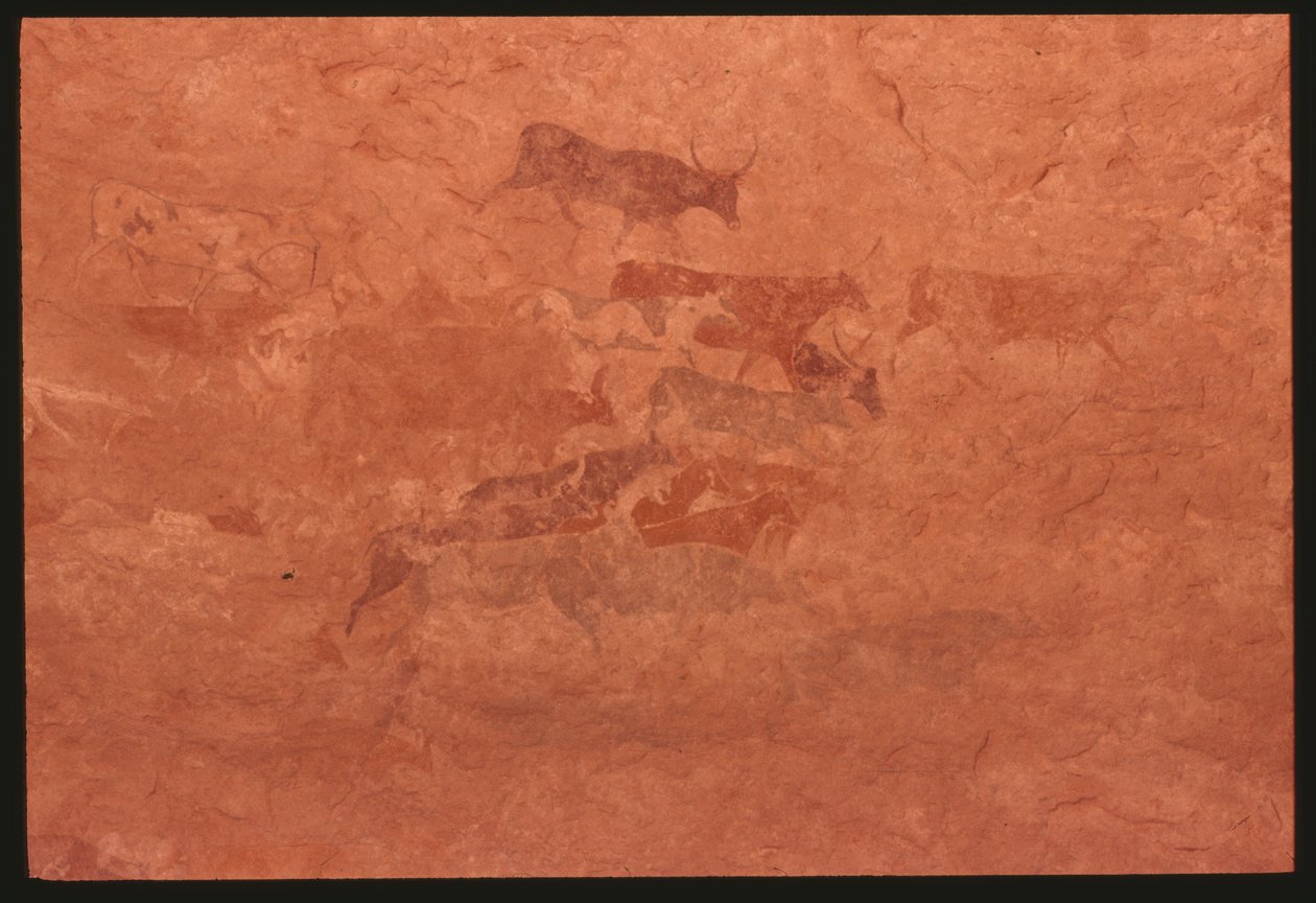 Køer (klippemaleri) af Prehistoric