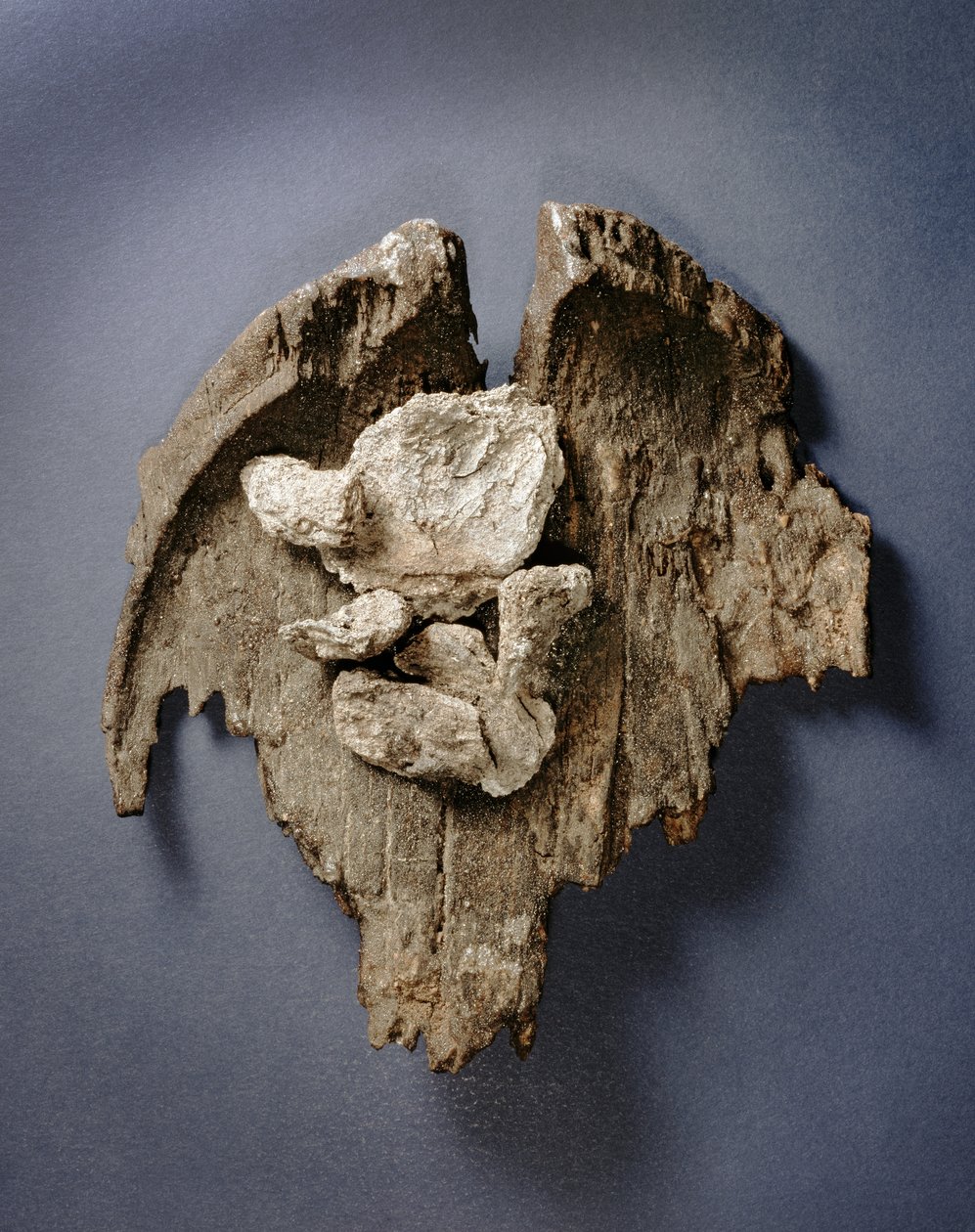 Fragment af en forhistorisk ret med rester af en kødled, Tomb G73, Jericho, (træ) af Prehistoric