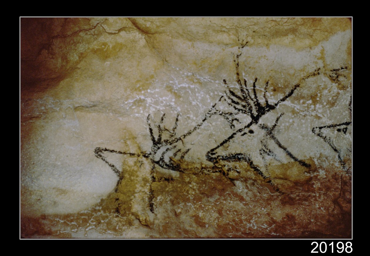 Hjortefrise, ca.17000 f.Kr af Prehistoric