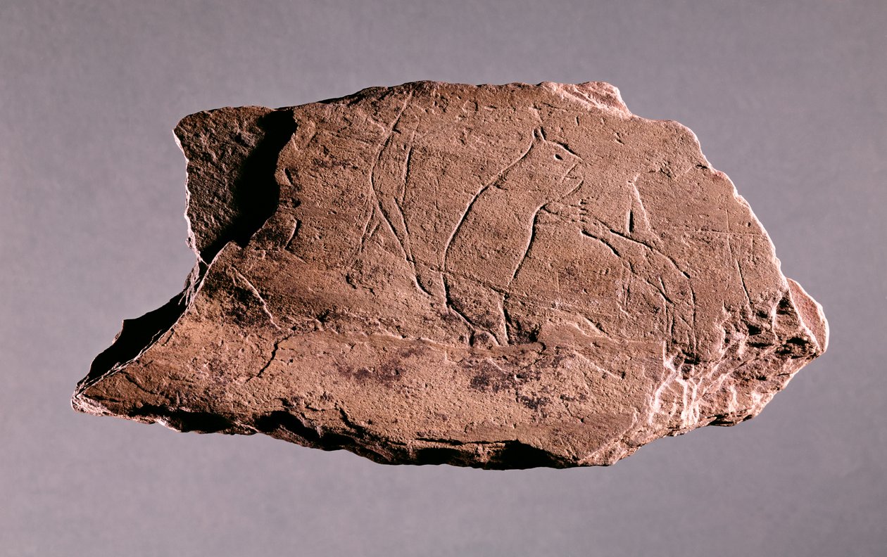 Småsten, der forestiller en mand, der bliver angrebet af en bjørn, fra Pechialet, Dordogne (skifer) af Prehistoric