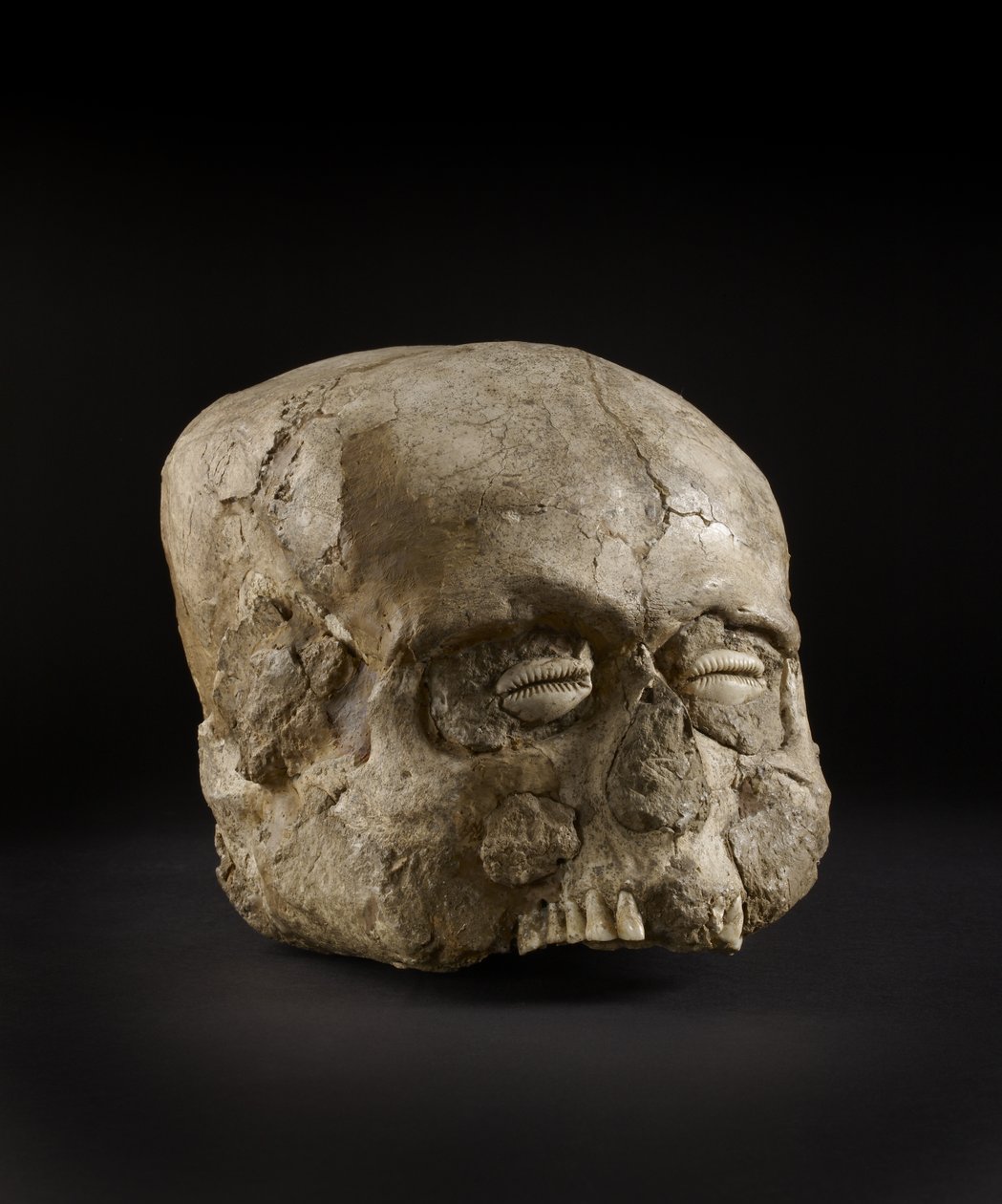 Portrætkranie med cowrie-skaløjne, Jericho, ca. 7. årtusinde f.Kr. (kranie, gips, skal) af Prehistoric