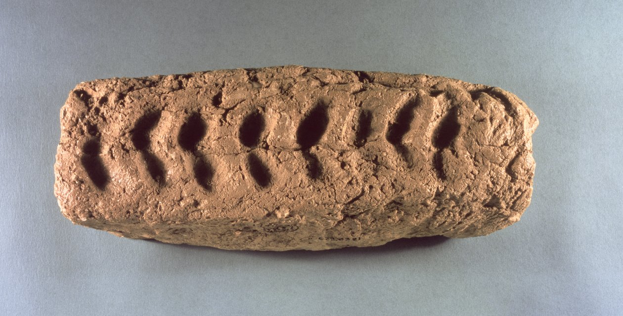 Forhistorisk fragment fra Jeriko (muddersten) af Prehistoric