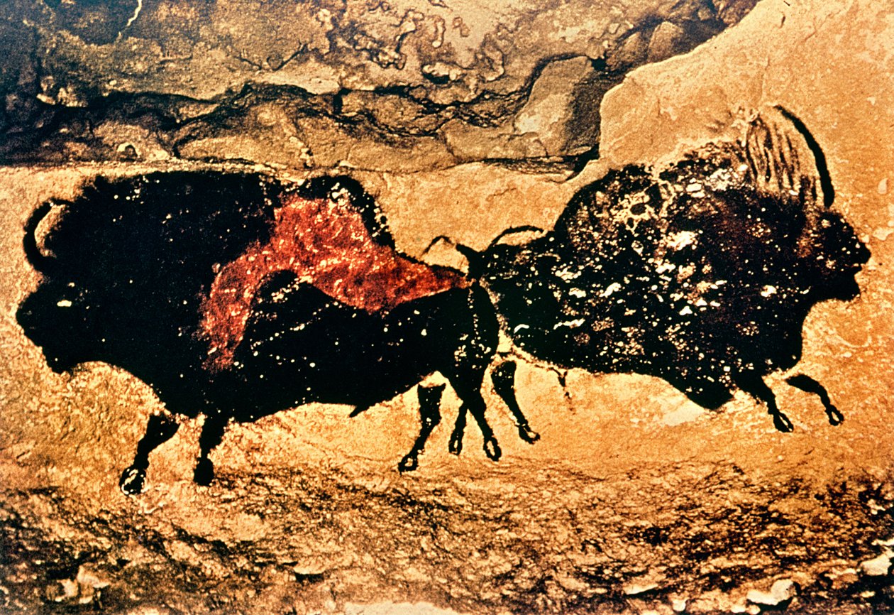 Klippemaleri af bison, ca. 17000 f.Kr. (hulemaleri) af Prehistoric